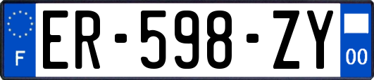 ER-598-ZY