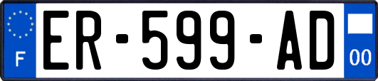 ER-599-AD