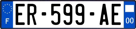 ER-599-AE