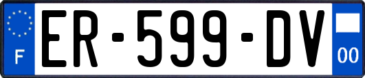 ER-599-DV