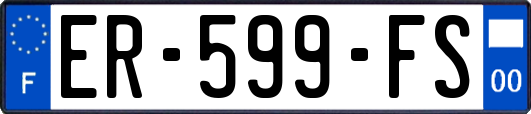 ER-599-FS