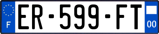 ER-599-FT