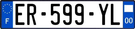 ER-599-YL