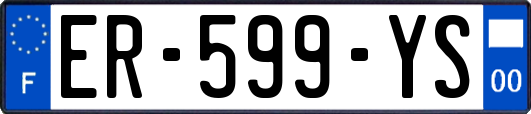 ER-599-YS