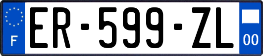 ER-599-ZL