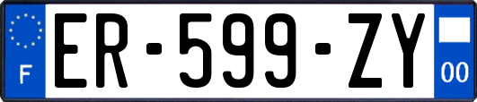 ER-599-ZY