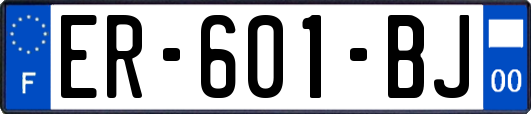 ER-601-BJ