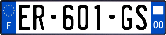 ER-601-GS