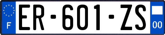 ER-601-ZS