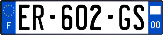 ER-602-GS