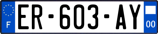 ER-603-AY