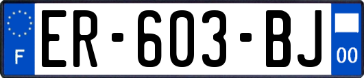 ER-603-BJ