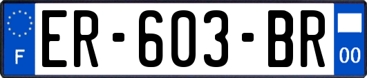 ER-603-BR
