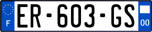 ER-603-GS