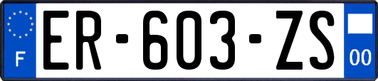 ER-603-ZS