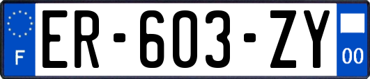 ER-603-ZY