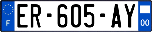 ER-605-AY