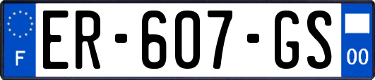 ER-607-GS
