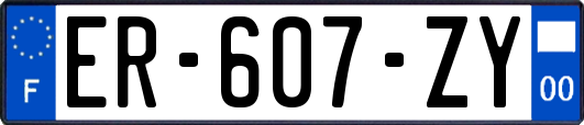 ER-607-ZY