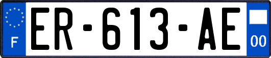 ER-613-AE