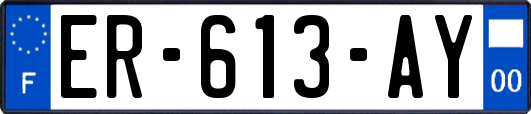 ER-613-AY