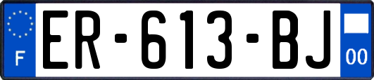 ER-613-BJ