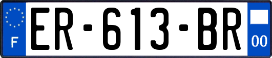 ER-613-BR
