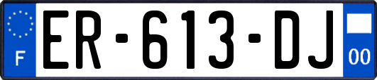 ER-613-DJ