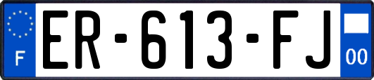 ER-613-FJ