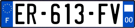 ER-613-FV