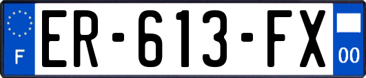 ER-613-FX