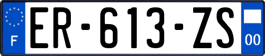 ER-613-ZS