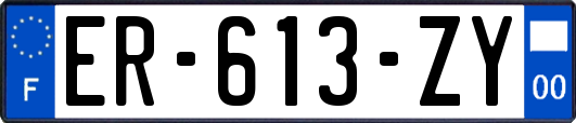 ER-613-ZY