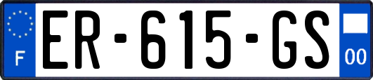 ER-615-GS