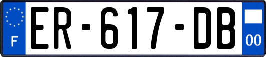 ER-617-DB