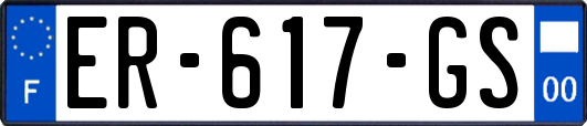 ER-617-GS