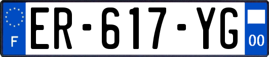 ER-617-YG