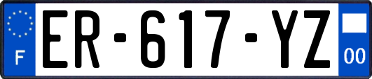 ER-617-YZ