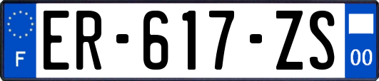 ER-617-ZS