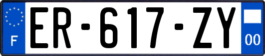 ER-617-ZY