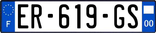 ER-619-GS