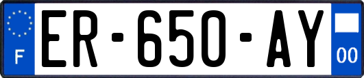 ER-650-AY