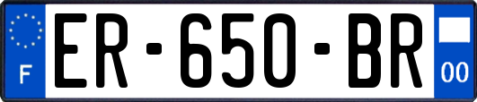 ER-650-BR