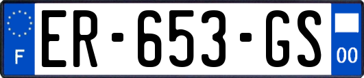 ER-653-GS