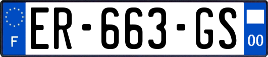 ER-663-GS