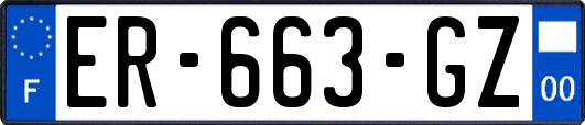 ER-663-GZ