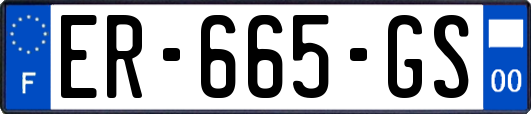 ER-665-GS