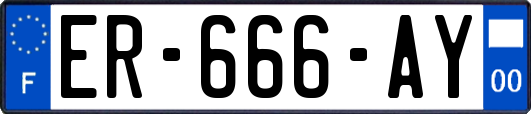 ER-666-AY