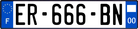 ER-666-BN