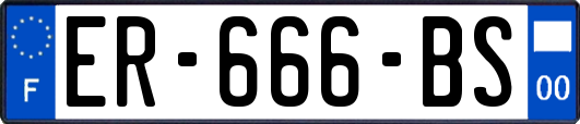 ER-666-BS